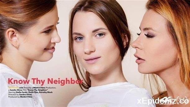 Dorothy Black, Stella Cardo, Stella Flex - Know Thy Neighbor (2019/VivThomas/SD)