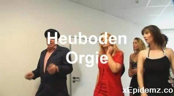 Heuboden Orgie (2011/SD)