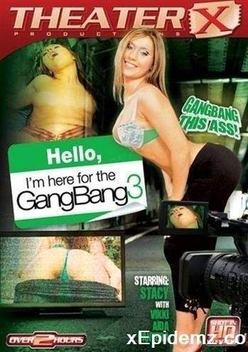 Hello, Im Here For The Gangbang 3 (2012/SD)