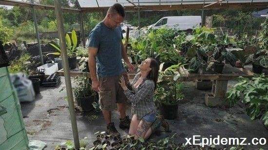 Katie Kingerie - Getting Banged In The Greenhouse (2022/RKPrime/SD)