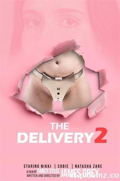 Slaves Nikki, Cobie - The Delivery 2 (2021/Fancysteel/FullHD)