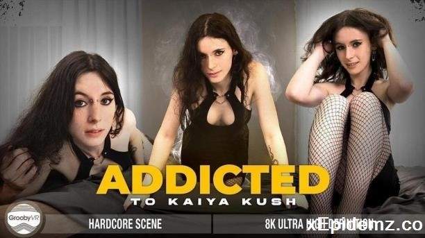 Kaiya Kush - Addicted To Kaiya Kush (2025/GroobyVR/4K)